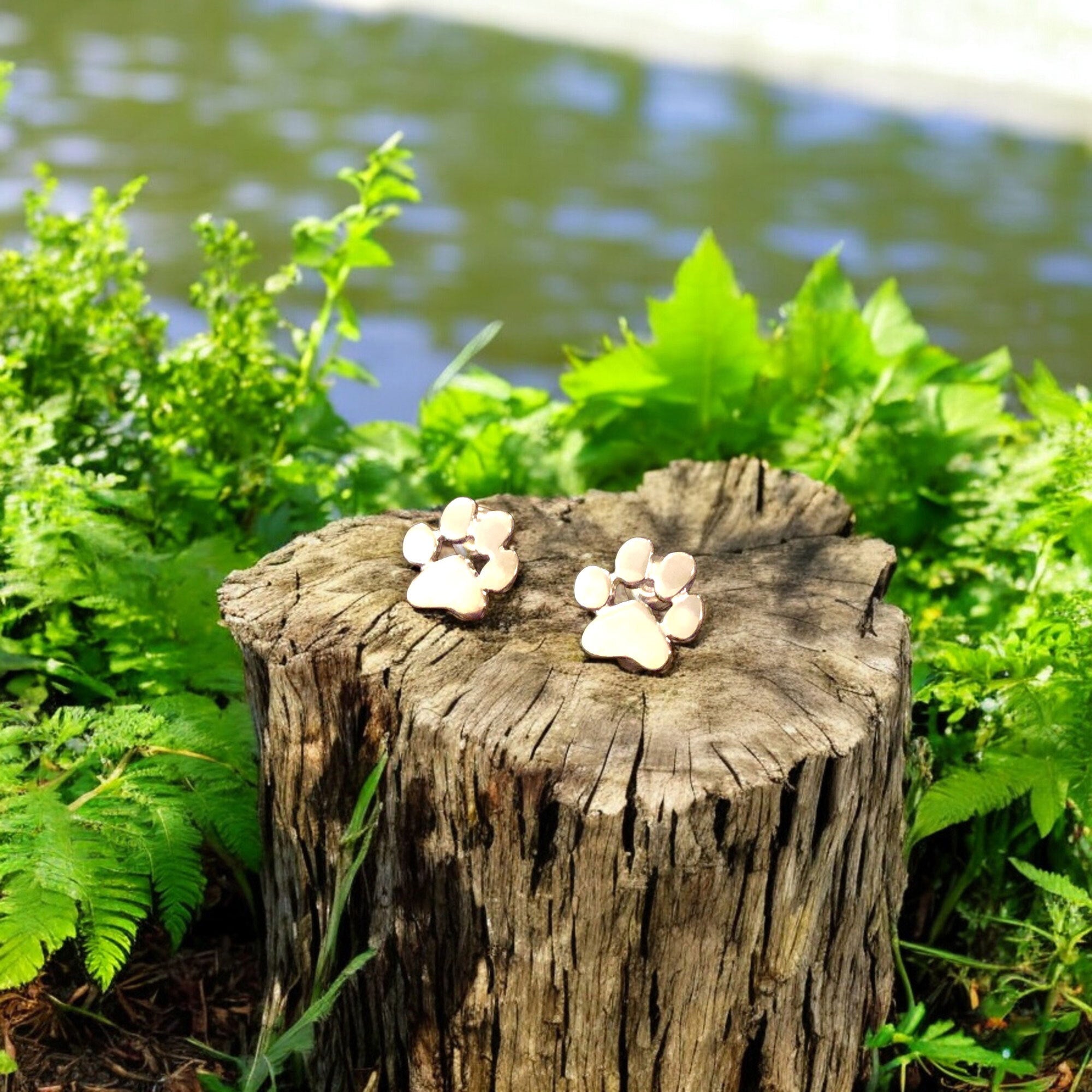 Hypoallergene poot oorbellen