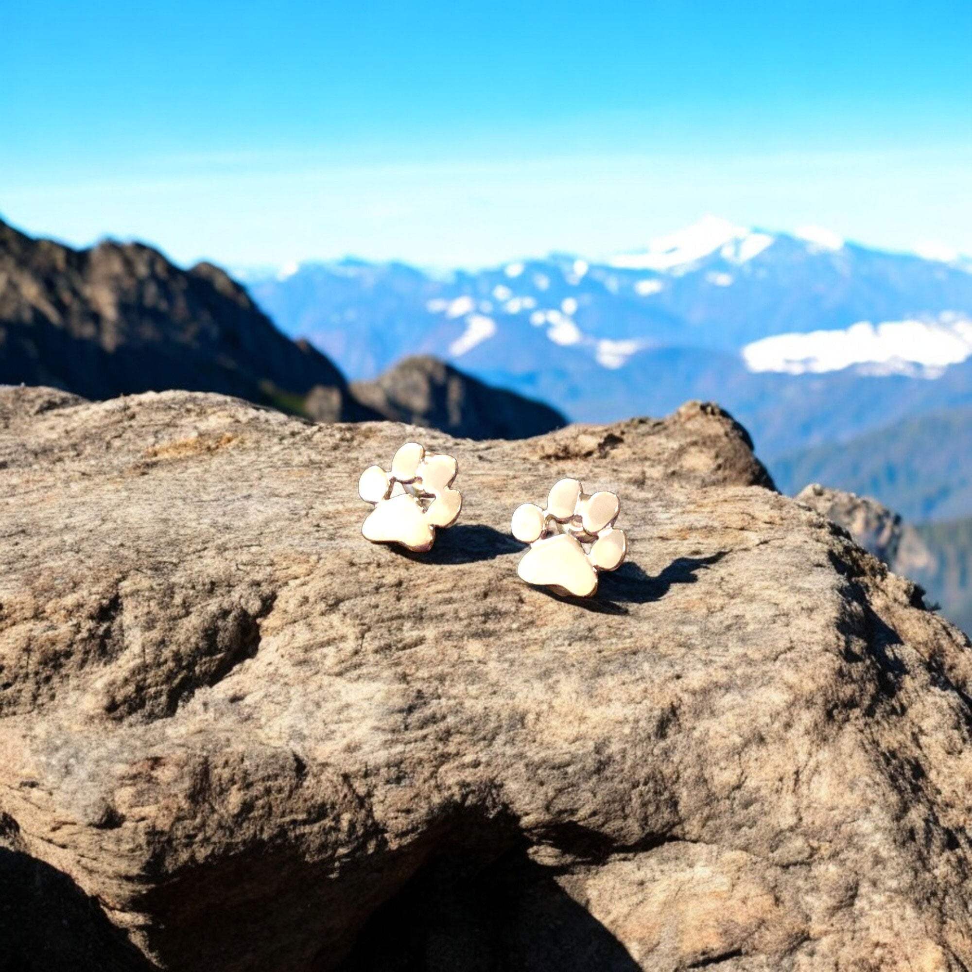 Hypoallergene poot oorbellen